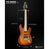 imageLeo Jaymz 39quot Full Size ST Style Electric Guitar Starter Kit with SSH Pickup 5W Portable Amp Tuner Gig Bag Strap ampamp Accessories Red FlameCherry Sunburst