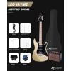 imageLeo Jaymz 39quot Full Size ST Style Electric Guitar Starter Kit with SSH Pickup 5W Portable Amp Tuner Gig Bag Strap ampamp Accessories Red FlameGold 5W