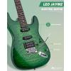 imageLeo Jaymz 39quot Full Size ST Style Electric Guitar Starter Kit with SSH Pickup 5W Portable Amp Tuner Gig Bag Strap ampamp Accessories Red FlameGreen Ocean 5W