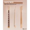 imageLeo Jaymz DIY Electric Bass Guitar Kits Roasted Ash BodyRoasted Maple Neck and Laurel Wood Fingerboard  Fully Components Included IB 4StringsRB