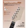 imageLeo Jaymz DIY Electric Guitar Kits with Mahogany Body and Maple Neck  Ebony Fingerboard and All Components Included PSST TD