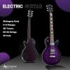 imageLeo Jaymz SC Series Electric Guitar  Mahogany Body Laurel Fingerboard Dual Humbuckers Stainless Steel Frets TuneOMatic Bridge C Neck 181 Tuners SkullViolet Flame