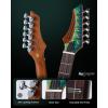 imageLeo Jaymz Hurricane Series Electric GuitarDouble Cut Arched Top Mahogany BodyReverse HeadstockRoasted Maple NeckRosewood FretboardAlnico V PickupsLocking TunersTremolo Bridge Blue PurplePeacock Blue