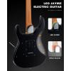 imageLeo Jaymz ST Pro Electric Guitar Roasted Maple Neck Maple Fingerboard Mahogany Body Alnico 5 Pickups for Intermediate ampamp Advanced PlayersSSH Blue BurlGreen Burl