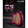 imageLeo Jaymz ST Pro Electric Guitar Roasted Maple Neck Maple Fingerboard Mahogany Body Alnico 5 Pickups for Intermediate ampamp Advanced PlayersSSH Blue BurlViolet Burl